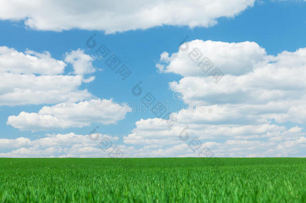 绿草田，蓝天白云