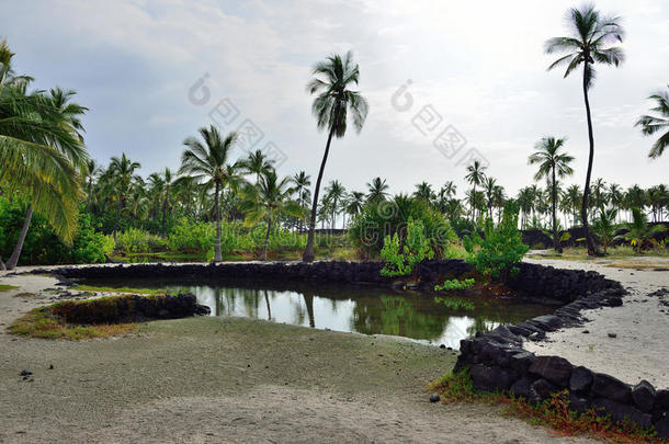 <strong>椰子</strong>棕榈树混合沙子和熔岩海滩，PuuhonuaOhonaunau避难地国家公园，<strong>夏威夷</strong>