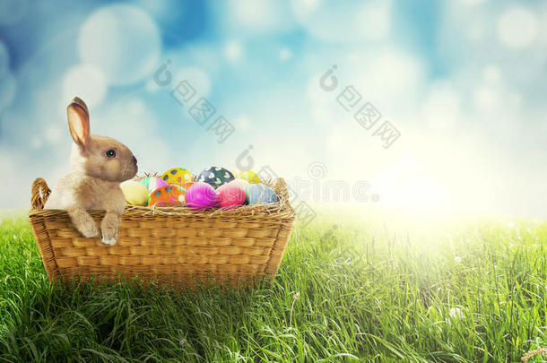 复活节兔子和复活节鸡蛋在篮子里