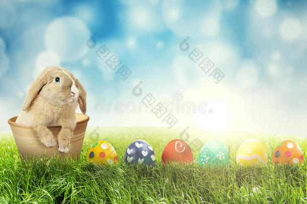 复活节兔子，草上有复活节鸡蛋