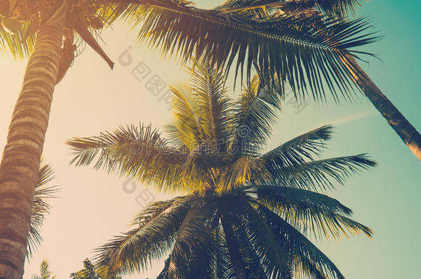 椰子棕榈树在海滩和蓝天与<strong>复古色</strong>调的风格