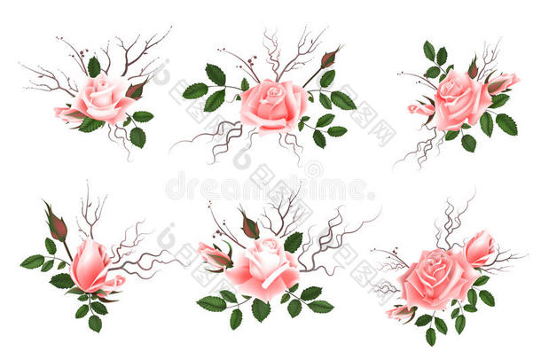 一束粉红色玫瑰，可用作贺卡、婚礼邀请卡、生日等节日和春天