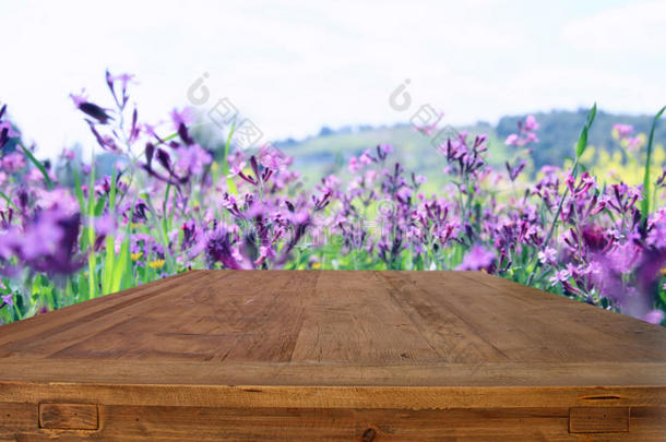 空荡荡的乡村桌子前春天美丽的田野花朵