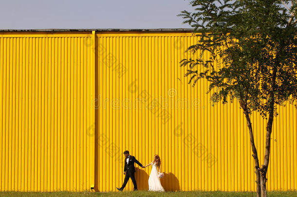 新郎和新娘在黄色的墙上摆姿势