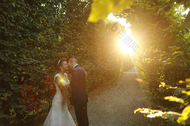 美丽的新娘夫妇在黄昏的阳光下拥抱