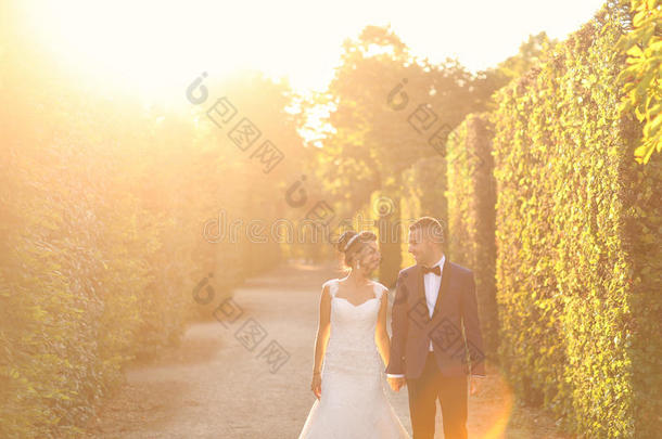 美丽的新娘夫妇在阳光下散步