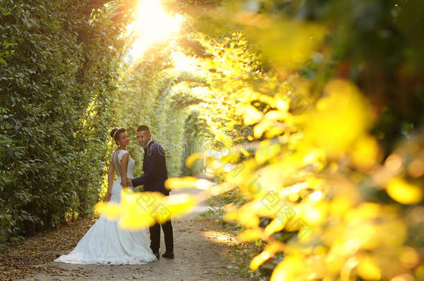 美丽的新娘夫妇在阳光下散步