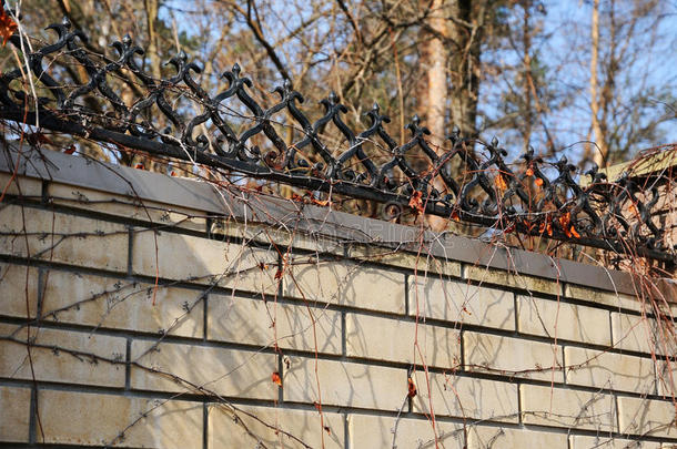 砖和锻铁栅栏的栅栏。 装饰铸铁栅栏的形象。 金属栅栏关闭了。