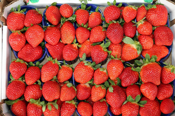 杂货店销售的盒子里有漂亮的红色成熟草莓