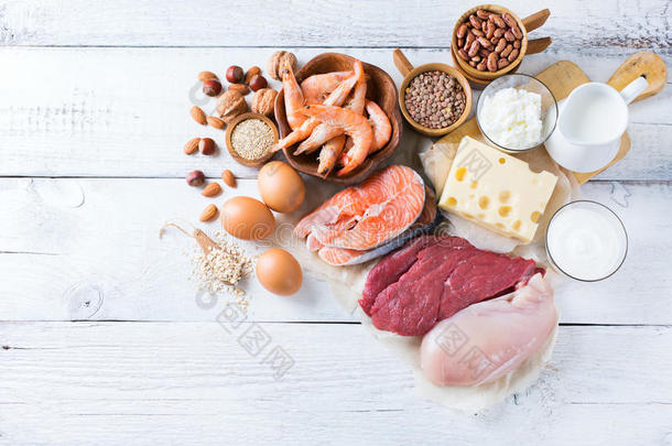 健康蛋白质来源和身体建设食品的分类
