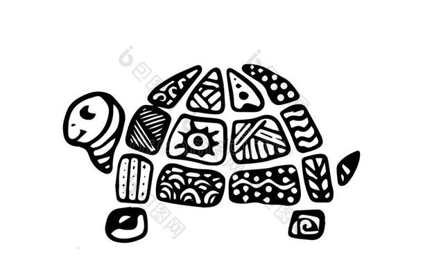 手绘涂鸦的海龟图案在贝壳上，Zentangle风格。 孩子的风格