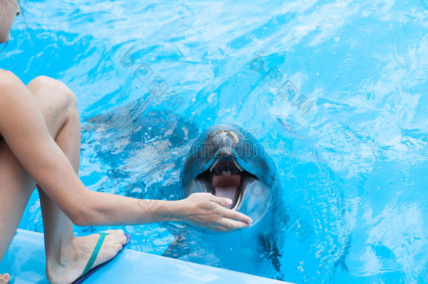 演员娱乐有趣的动物水族馆