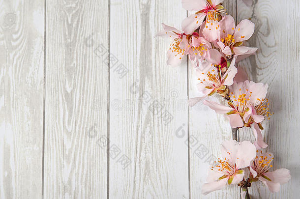 艺术春天在木制背景上绽放春天的花朵