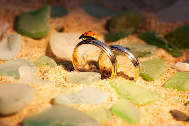 金色的结婚戒指在沙子和瓢虫