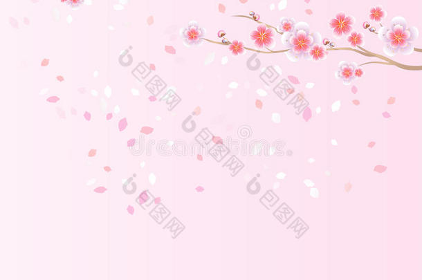 樱花的枝条和<strong>花瓣</strong>在淡粉色背景上分离。 苹果树的花。 樱花。 <strong>矢量</strong>EPS10，CMYK