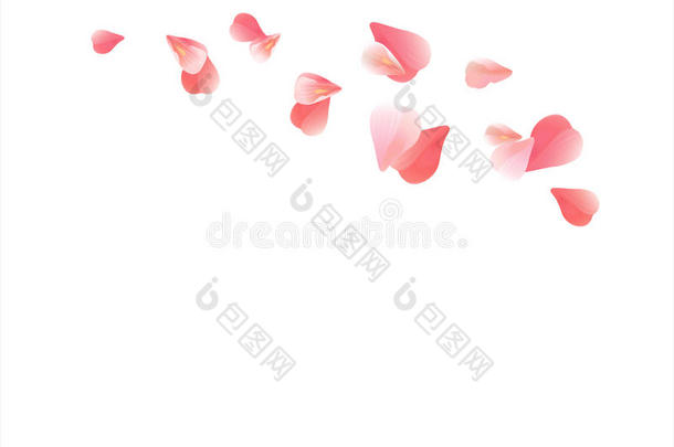 在白色背景上分离出浅粉色红色花瓣。 玫瑰花瓣。 落下的樱花。 矢量EPS10CMYK