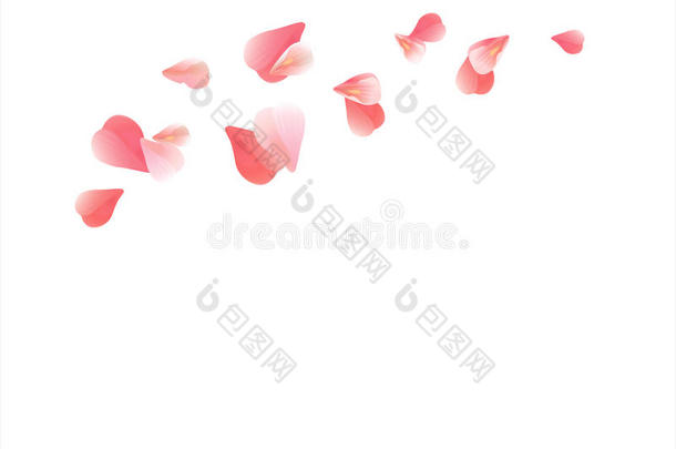 在白色背景上分离出浅粉色红色<strong>花瓣</strong>。 玫瑰<strong>花瓣</strong>。 落下的樱花。 <strong>矢量</strong>EPS10CMYK