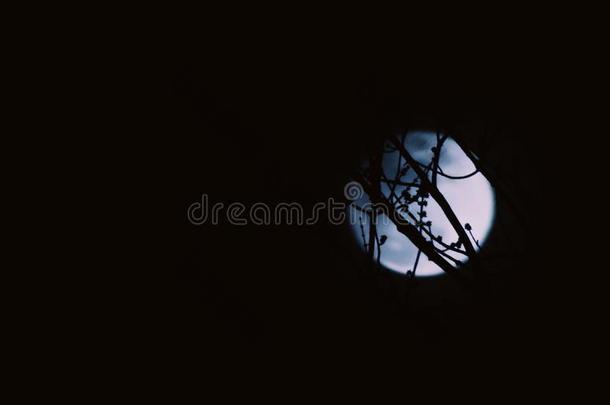 后面日食月球的月亮夜