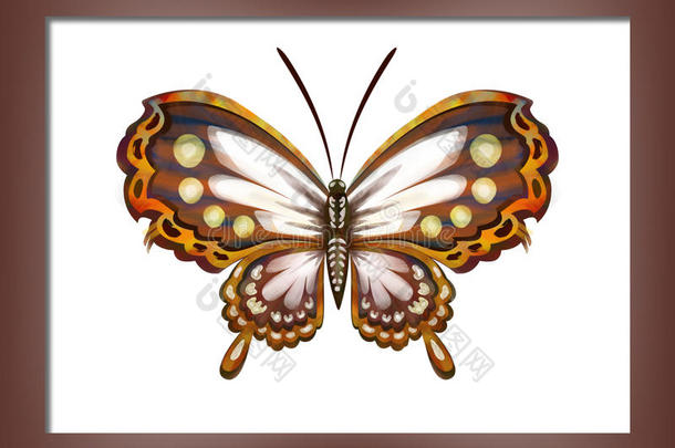 生物学棕色的缺陷蝴蝶装饰