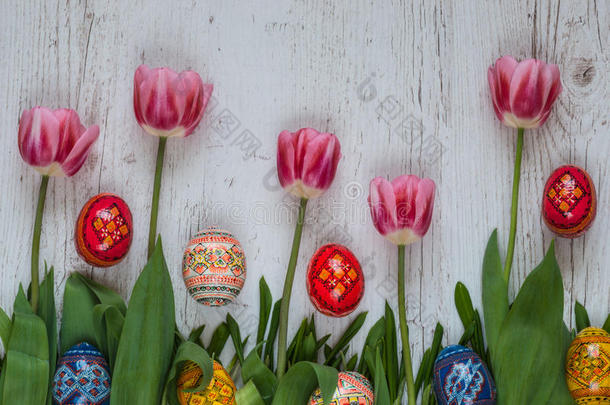 复活节背景，复活节鸡蛋和粉红色郁金香在绿色的草地上