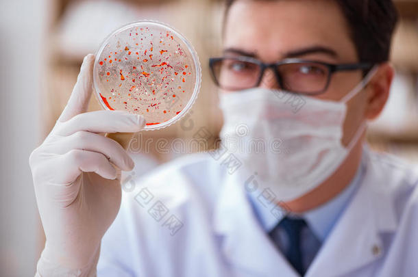 分析细菌生物化学生物学的生物学