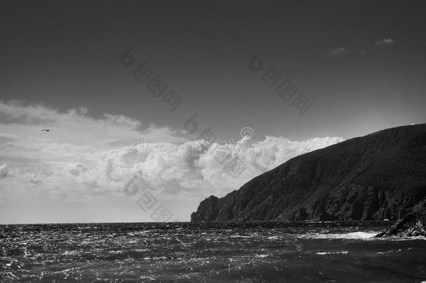 夏天美丽的海景