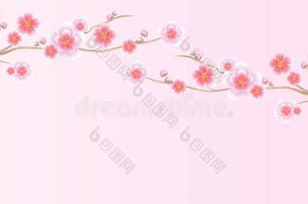花卉设计。 浅粉色背景上的樱花枝。 苹果树的花。 樱花。 矢量EPS10CMYK