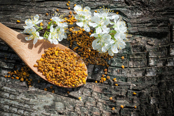 蜜蜂花粉在木勺里，春天的树花。 治疗。 蜜蜂产品。