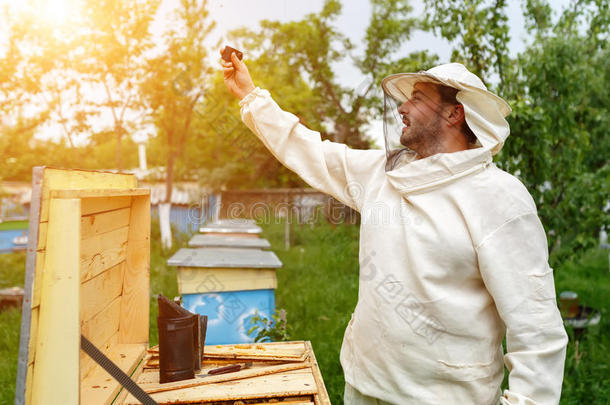 养蜂人在养蜂行动相机上<strong>移除</strong>自己。 视频博客