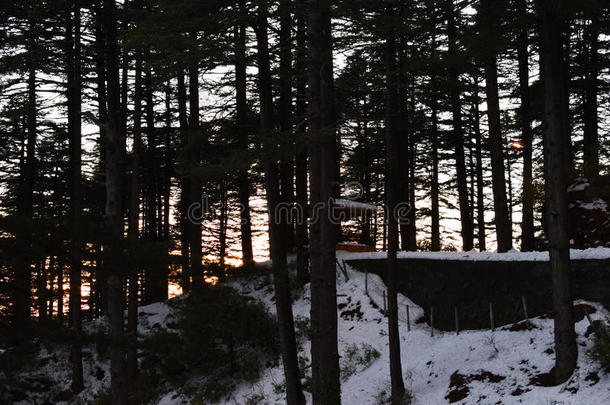 梦幻的森林前面小屋雪