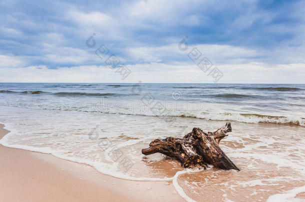 海滩分支云海岸沿海