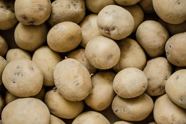 新鲜有机马铃薯在市场上许<strong>多大</strong>型背景马铃薯中脱颖而出。 一堆土豆根。 特写镜头