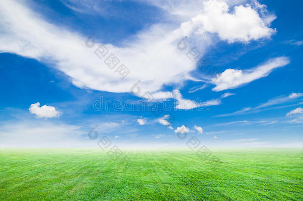 阳光明媚的日子里，绿草和蓝天的田野