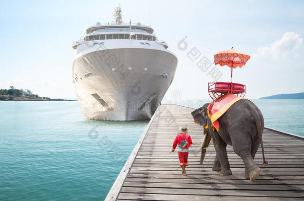 大象等待来自游轮的游客乘坐旅游