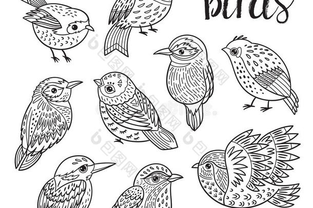 图形设置与手绘异国鸟类。 线条艺术设计