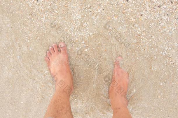 赤脚的腿在海边散步，在夏天的大海里