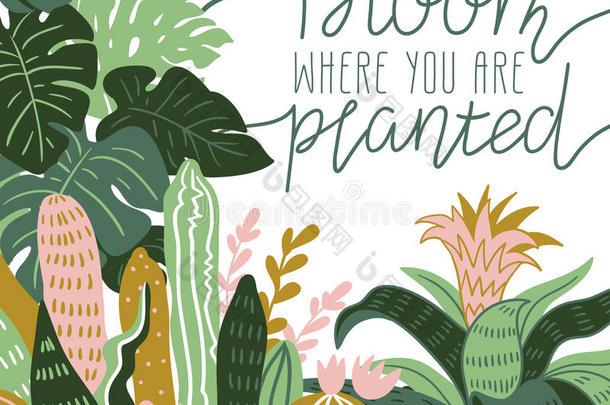 手绘野生热带植物。 斯堪的纳维亚风格的插图，家居装饰。 矢量打印设计。