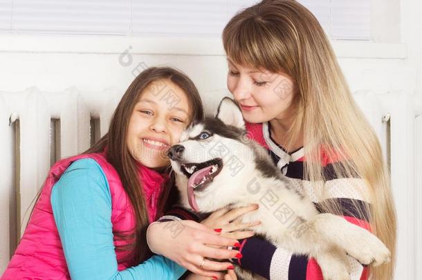 家庭和西伯利亚哈士奇狗