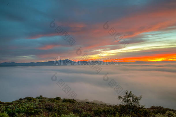 雾覆盖景观在日出在拉古纳海滩，加利福尼亚州