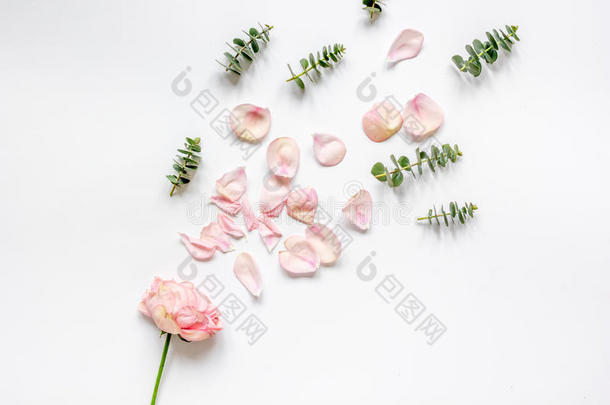 花型与玫瑰花瓣和桉树在白色桌面视图