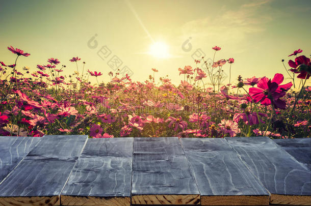空木桌面，用于产品展示蒙太奇和宇宙花卉和阳光在花园