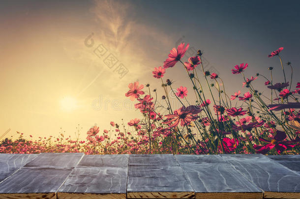 空木桌面，用于产品展示蒙太奇和宇宙花卉和阳光在花园