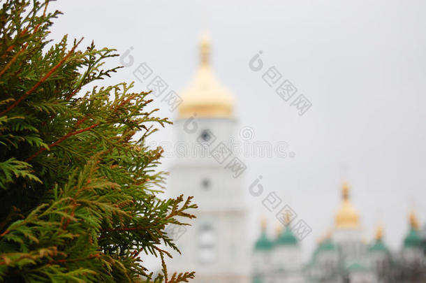 模糊的圣索菲亚`大教堂圆顶，重点是苏亚树在基辅，乌克兰