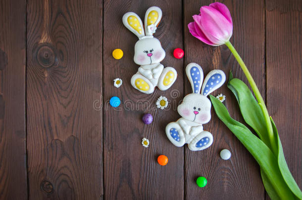 装饰复活节兔子饼干，彩色糖果，郁金香，洋甘菊
