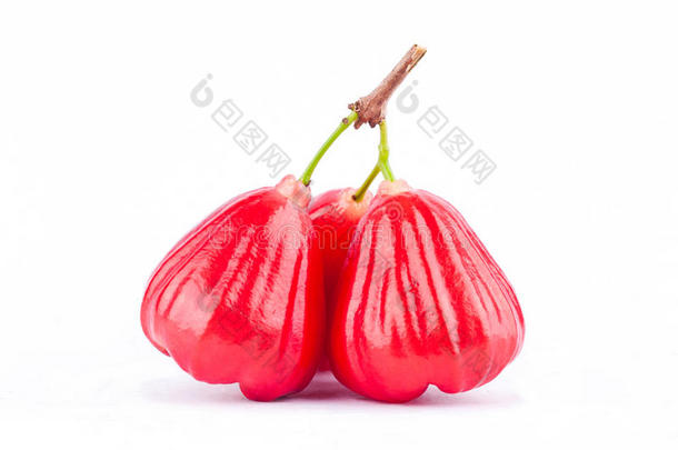 半个玫瑰苹果和红玫瑰苹果在白色背景下健康的玫瑰苹果水果食品分离