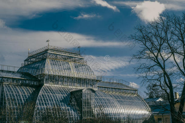 建设圣彼得堡植物园公共财产与风景优美的天空