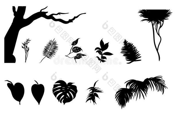 黑色丛林植物剪影设置