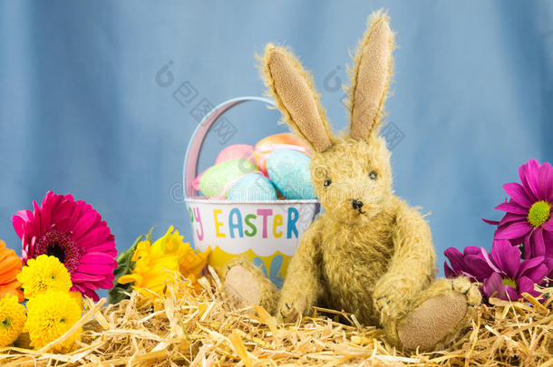 可爱的快乐复活节场景与兔子。 复制空间。
