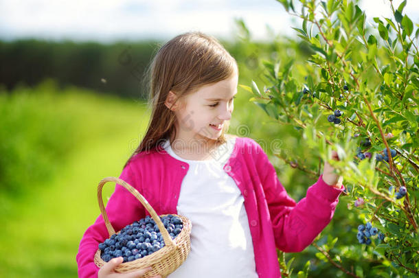 可爱的小女孩在温<strong>暖</strong>的夏天在有机蓝莓农<strong>场</strong>采摘新鲜浆果