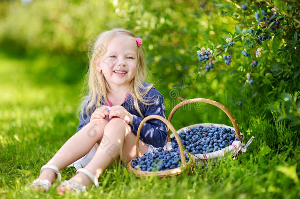 可爱的小女孩在温暖的夏天在有机<strong>蓝莓</strong>农场<strong>采摘</strong>新鲜浆果